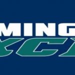 Phenom Opening Team Preview: Wilmington Excel 14u