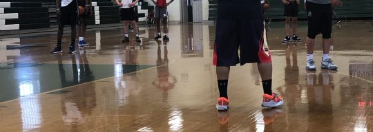 Phenom Hoops AAU Open Gym Tour: District WAWG 17u (3/30/19)