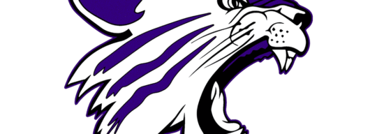 Open Gym Report: West Stokes